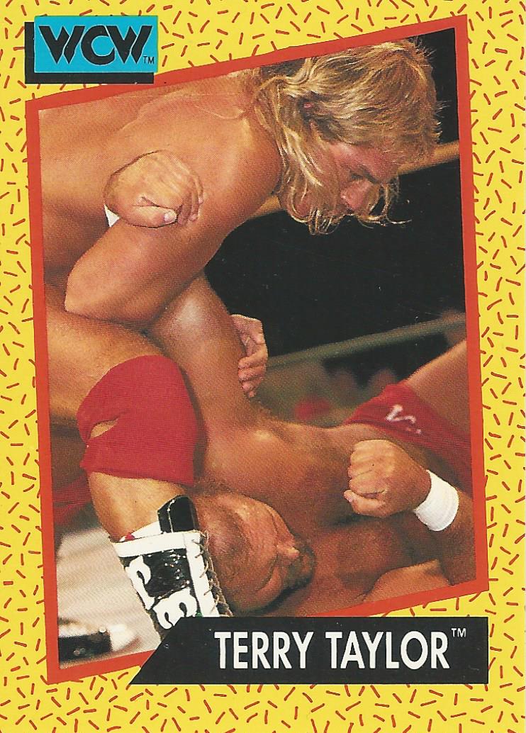 WCW Impel 1991 Trading Cards Terry Taylor No.71