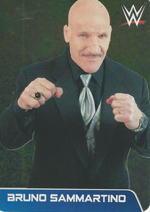 WWE Edibas Lamincards 2014 Bruno Sammartino No.73