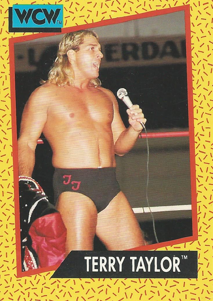 WCW Impel 1991 Trading Cards Terry Taylor No.73