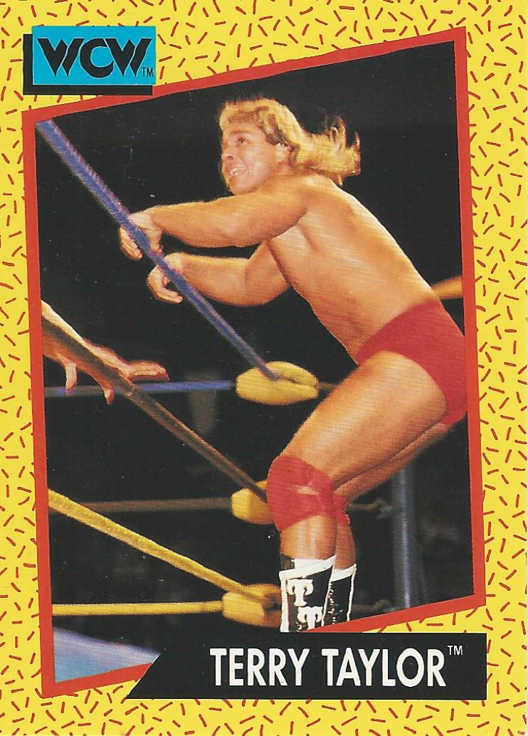 WCW Impel 1991 Trading Cards Terry Taylor No.74