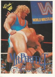 WWF Classic Trading Cards 1990 Mr Perfect No.74