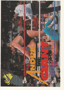 WWF Classic Trading Cards 1990 Andre the Giant No.76