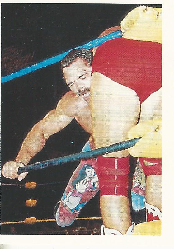 Euroflash WCW 1992 Sticker Collection Rick Rude No.84