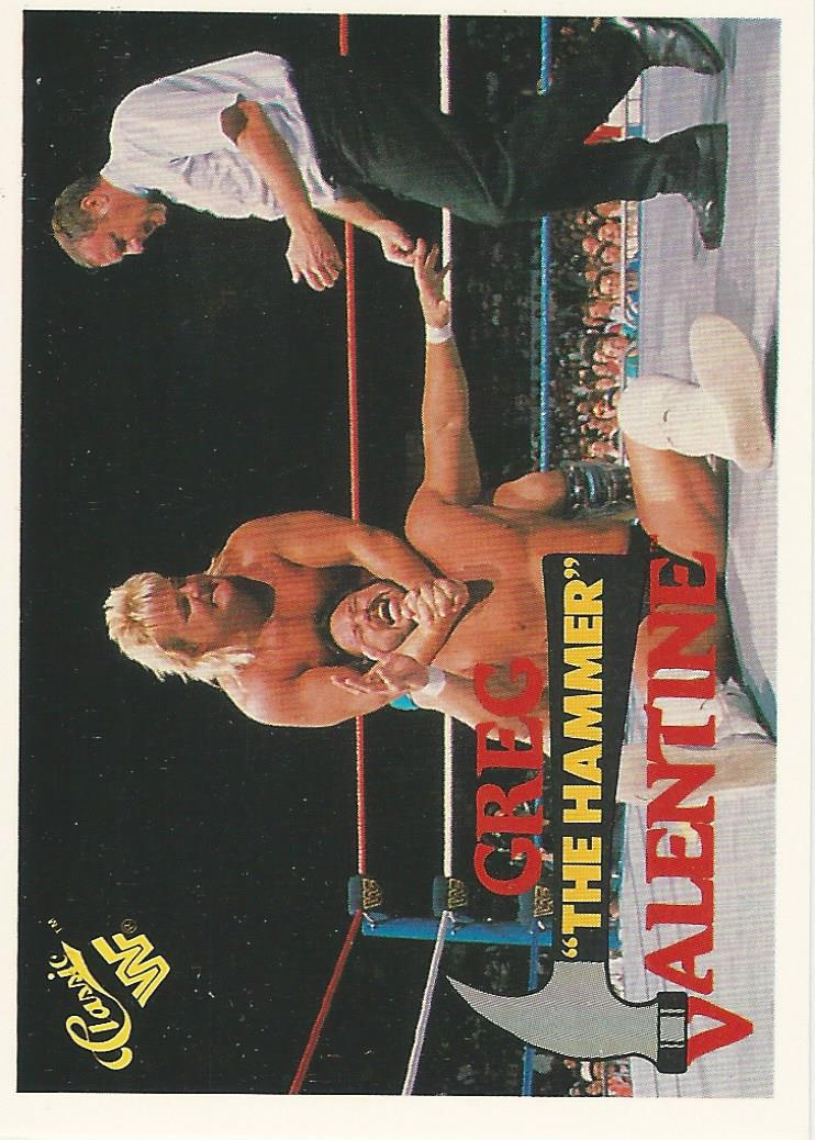 WWF Classic Trading Cards 1990 Greg Valentine No.86