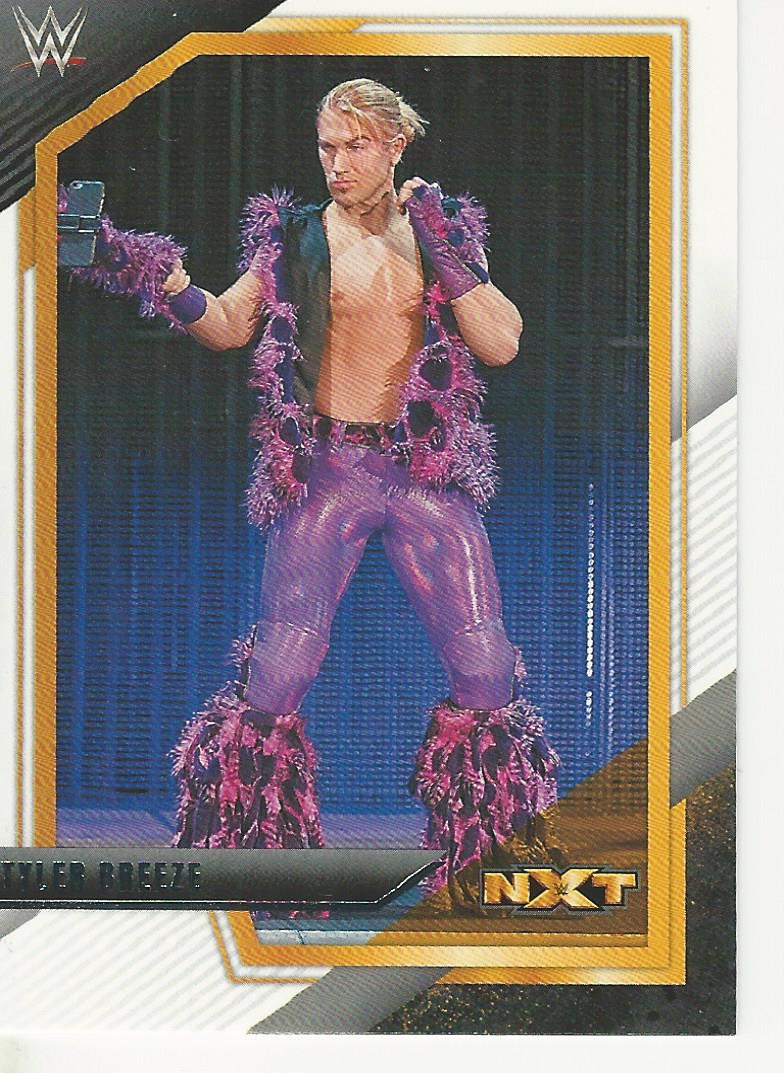 WWE Panini NXT 2022 Trading Cards Tyler Breeze No.117