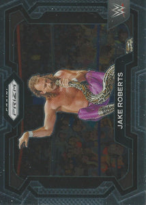 WWE Panini Prizm 2024 Trading Cards Jake the Snake Roberts No.87