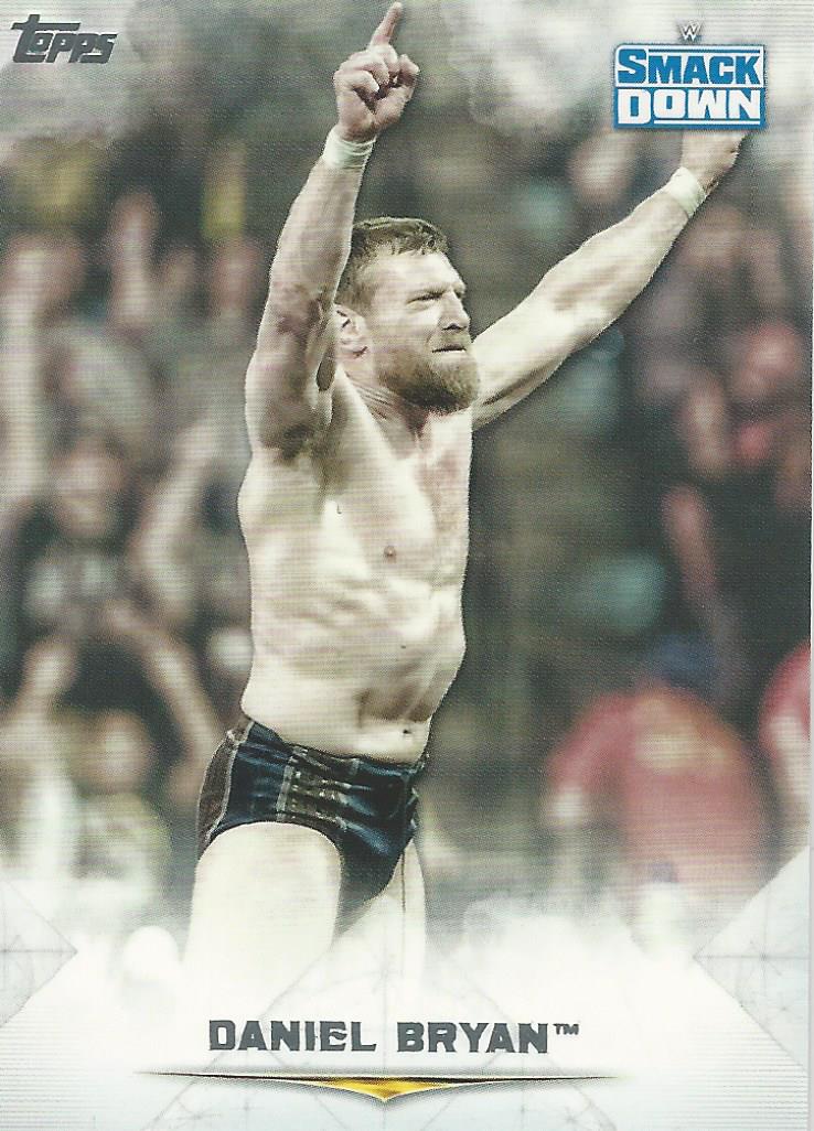 WWE Topps Undisputed 2020 Trading Cards Daniel Bryan No.34