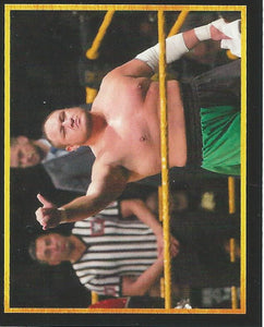 WWE Topps Stickers 2017 Samoa Joe No.88