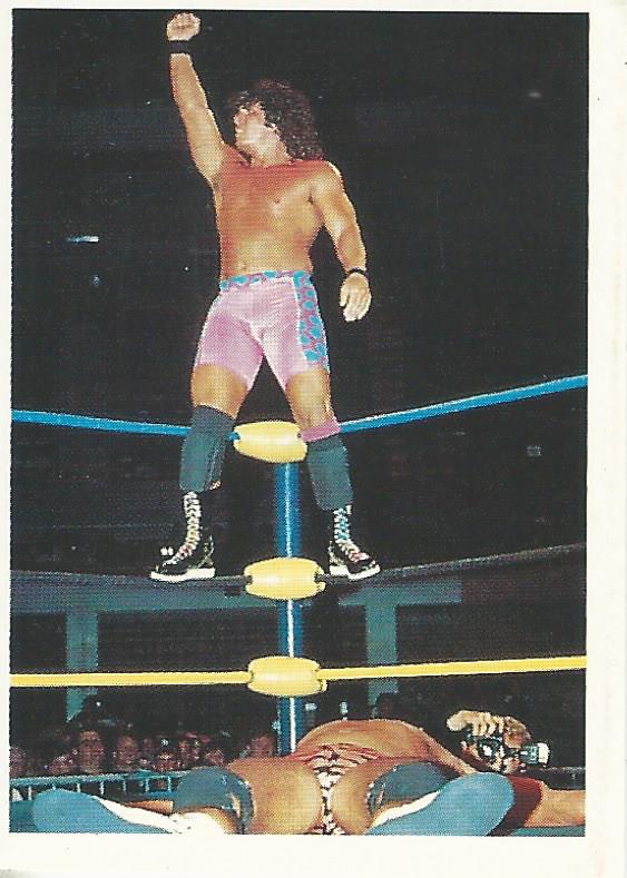 Euroflash WCW 1992 Sticker Collection Scotty Flamingo No.88