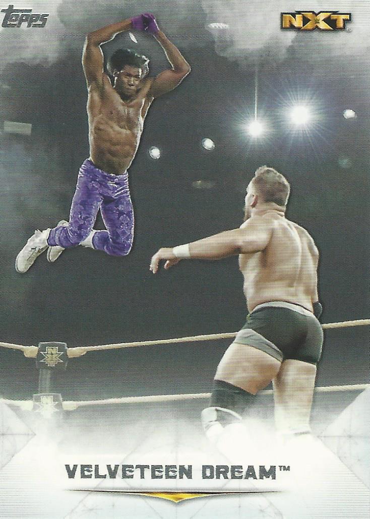 WWE Topps Undisputed 2020 Trading Cards Velveteen Dream No.74