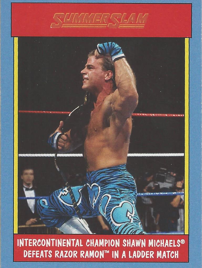 WWE Topps Heritage 2017 Trading Card Shawn Michaels No.14