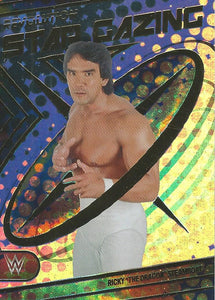 WWE Panini Revolution 2023 Trading Cards Ricky Steamboat STAR GAZING No.5