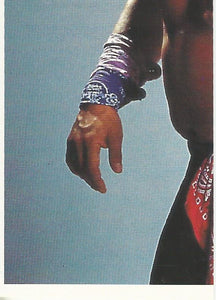 Euroflash WCW 1992 Sticker Collection Ricky Morton No.92