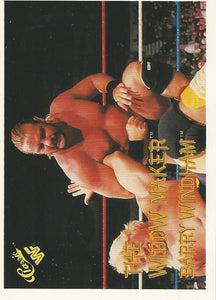 WWF Classic Trading Cards 1990 Barry Windham No.93