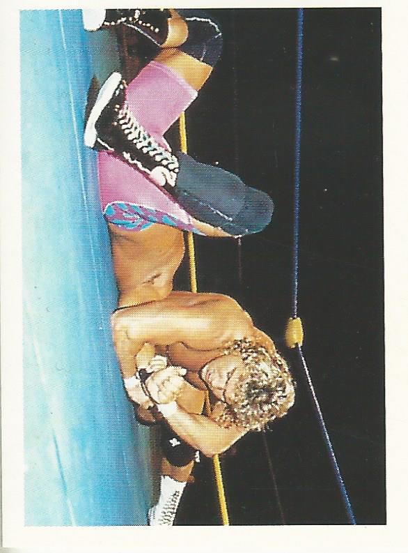 Euroflash WCW 1992 Sticker Collection Brian Pillman No.95