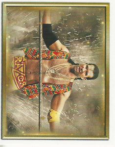 WWE Topps 2018 Stickers Razor Ramon No.100