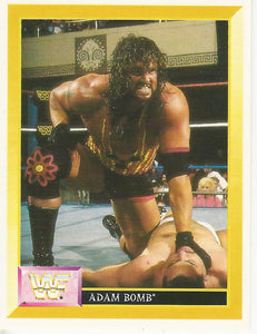 WWF Merlin Sticker Collection 1994 Adam Bomb No.101