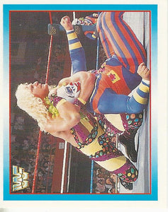 WWF Merlin Stickers 1995 Jeff Jarrett No.101