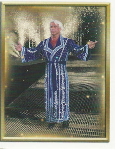 WWE Topps 2018 Stickers Ric Flair No.101