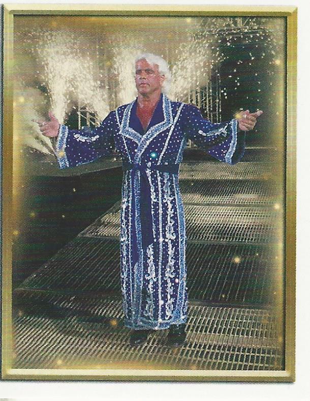 WWE Topps 2018 Stickers Ric Flair No.101