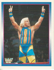 WWF Merlin Stickers 1995 Jeff Jarrett No.102