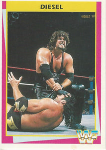 WWF Merlin Trading Card 1995 Diesel No.102