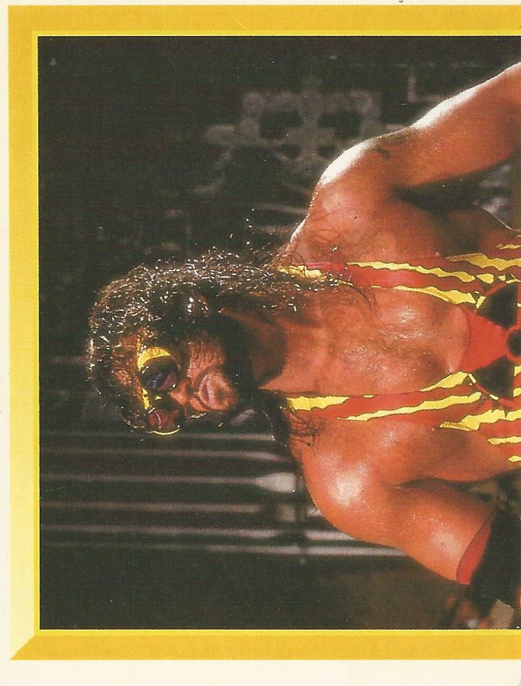 WWF Merlin Sticker Collection 1994 Adam Bomb No.103