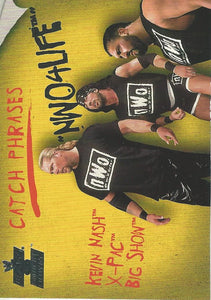 WWE Fleer Raw vs Smackdown Trading Card 2002 NWO CP 13 of 15