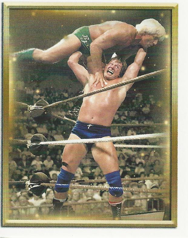 WWE Topps 2018 Stickers Roddy Piper No.104