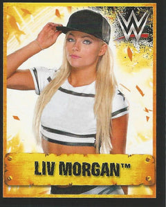 WWE Topps Stickers 2017 Liv Morgan No.104