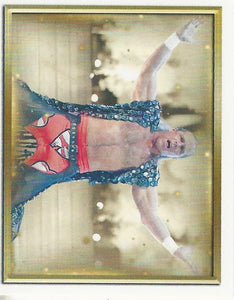 WWE Topps 2018 Stickers Shawn Michaels No.105