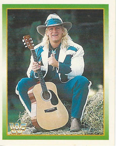 WWF Merlin Stickers 1995 Jeff Jarrett No.105