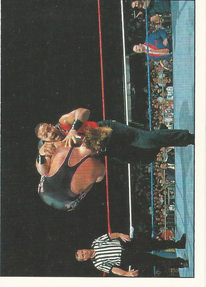 WWF Panini 1995 Sticker Collection Savio Vega No.105