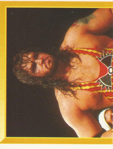 WWF Merlin Sticker Collection 1994 Adam Bomb No.105