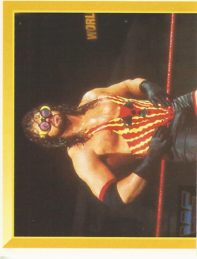 WWF Merlin Sticker Collection 1994 Adam Bomb No.107