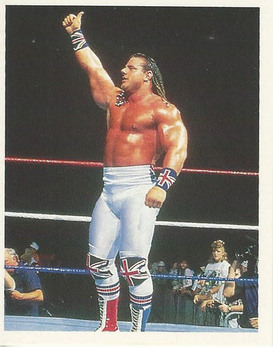 WWF Merlin Trading Cards 1991 full set - Collection WWF Merlin Trading Cards 1991 full set - Collection