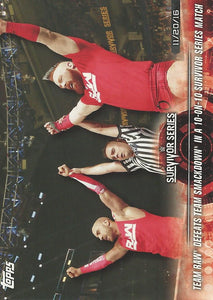 WWE Topps Road to Wrestlemania 2018 Trading Cards Sheamus and Cesaro No.7