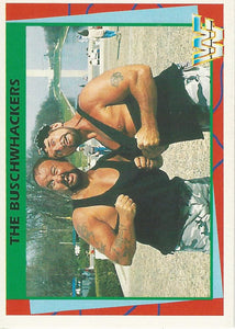 WWF Merlin Trading Card 1995 Bushwhackers No.108