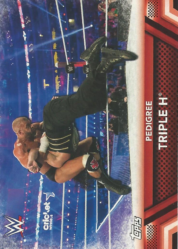 WWE Topps Then Now Forever 2017 Trading Card Triple H No.F9