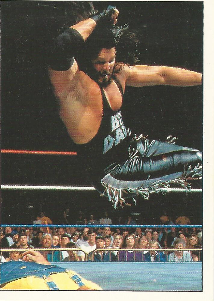 WWF Panini 1995 Sticker Collection Diesel No.10