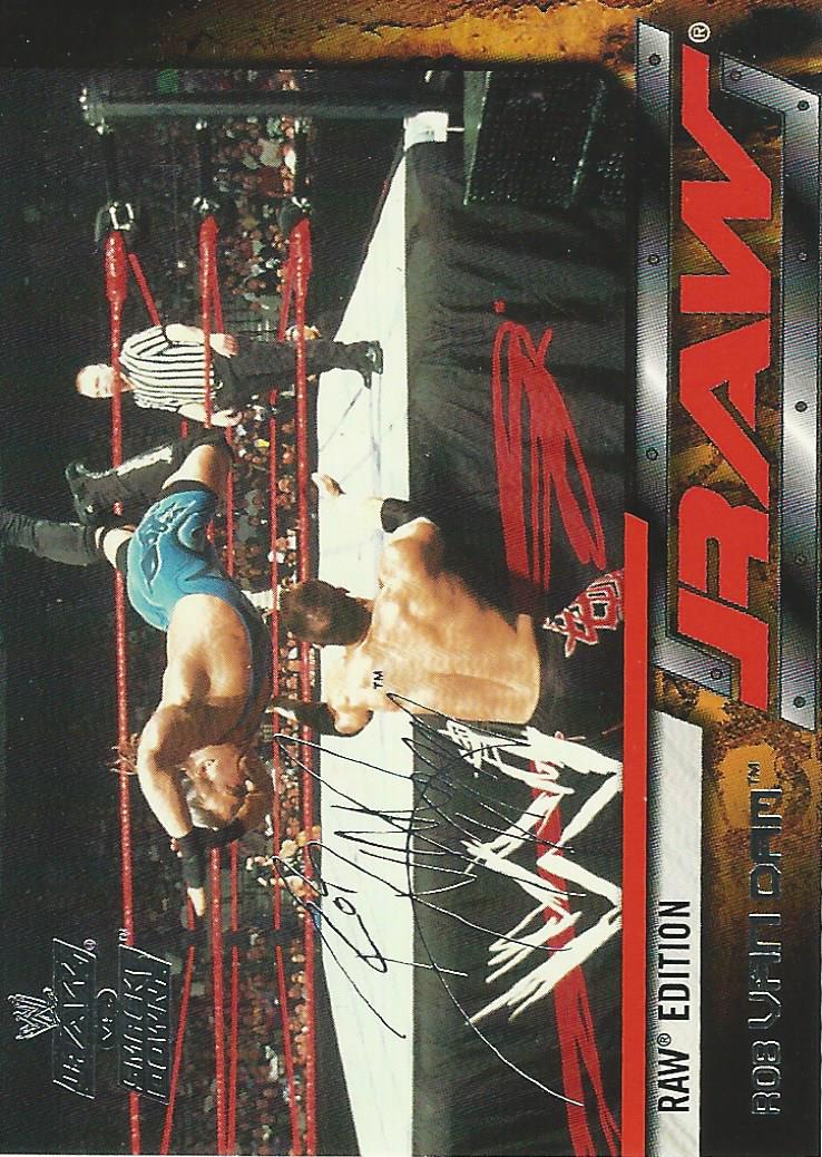 WWE Fleer Raw vs Smackdown Trading Card 2002 Rob Van Dam No.10