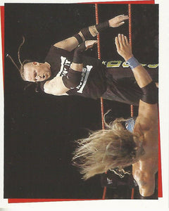 WWF Smackdown Stickers 2000 Road Dogg No.111