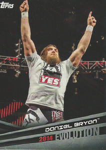 WWE Topps 2018 Trading Cards Daniel Bryan E13