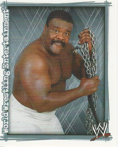 WWE Topps Superstars Uncovered 2007 Sticker Collection Junkyard Dog No.113