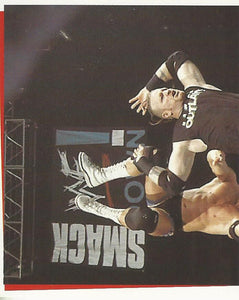 WWF Smackdown Stickers 2000 Road Dogg No.113
