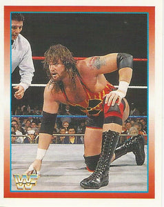 WWF Merlin Stickers 1995 Adam Bomb No.114