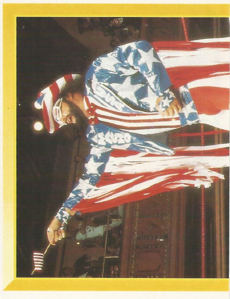 WWF Merlin Sticker Collection 1994 Macho Man Randy Savage No.115