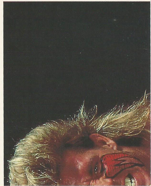 WWF Merlin Sticker Collection 1990 Ultimate Warrior No.115