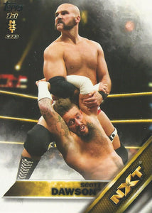 WWE Topps 2016 Trading Cards Scott Dawson No.15