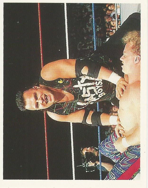 WWF Merlin Stickers 1991 Nasty Boys Saggs No.118